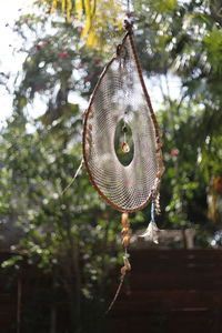 Close-up of hanging tree