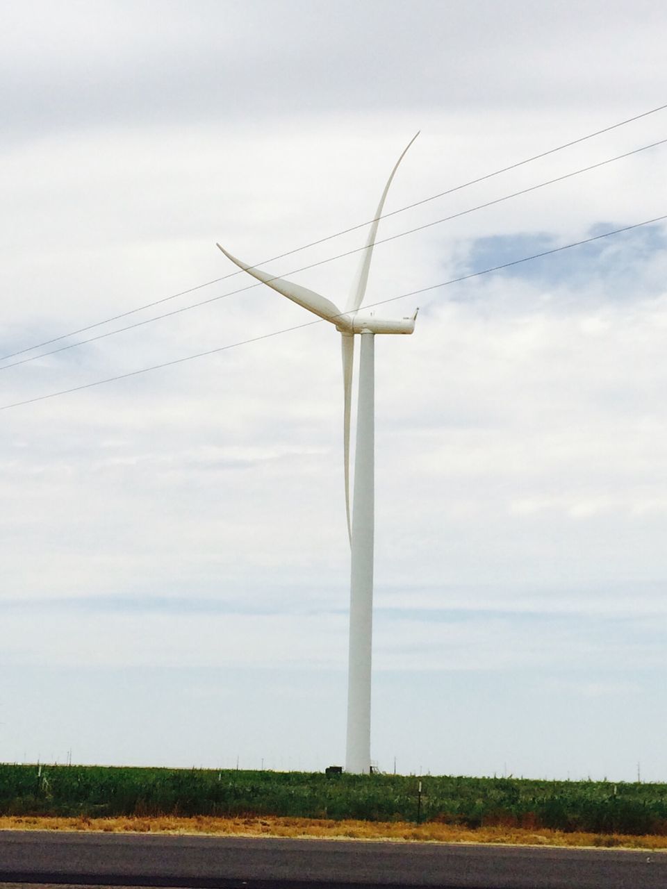 fuel and power generation, wind turbine, wind power, alternative energy, environmental conservation, renewable energy, windmill, field, sky, rural scene, landscape, technology, electricity pylon, cloud - sky, electricity, traditional windmill, power supply, agriculture, cloud, power line