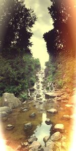Stream flowing through rocks