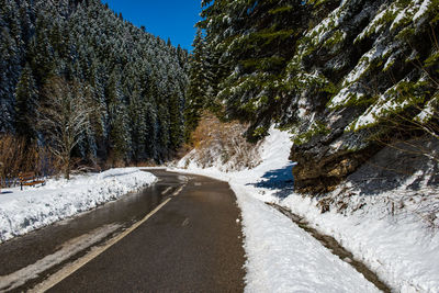 Road amidst trees against sky during winter