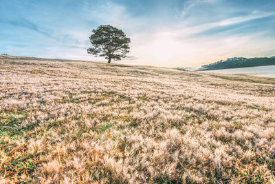 Scenic view of land against sky