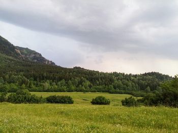 Scenic view of grassy field against cloudy sky