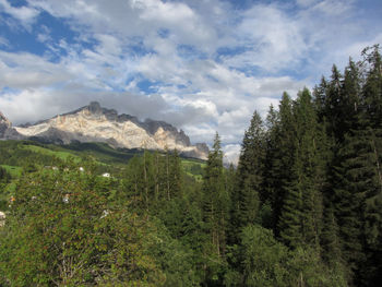 Scenic view of pine trees and mountains against sky