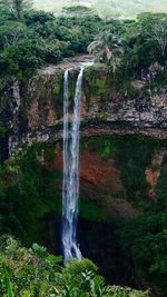 Scenic view of waterfall in forest