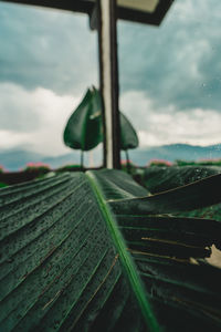 Close-up of raindrops on land against sky