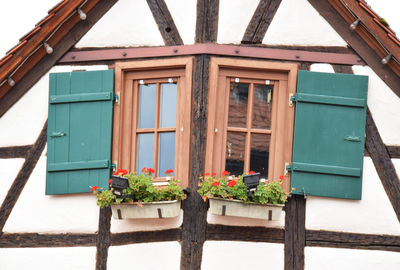 Potted plants growing on windows