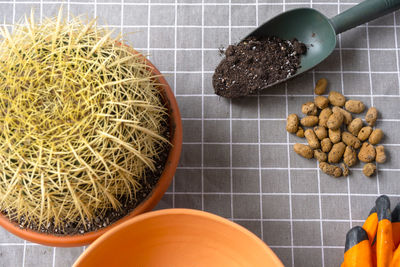 High angle view of food on table