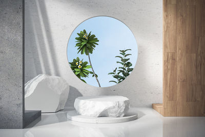 Potted plant on table against wall