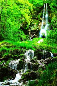 Waterfall in forest