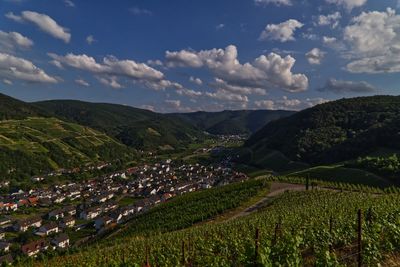 Scenic view of vineyard against sky