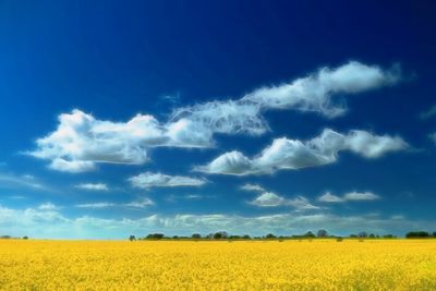 Scenic view of field against cloudy sky