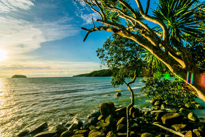 Scenic view of sea against sky