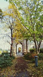 Plants and trees in park