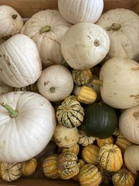 Full frame shot of pumpkins for sale in market