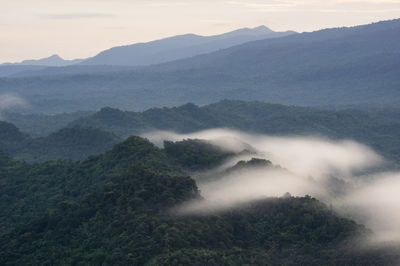 Aerial view panoramic at sunrise with fog above mountain in mae moh, lampang, thailand, drone.