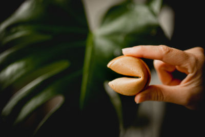 Close-up of hand holding fruit