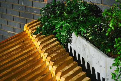 Low angle view of staircase against building