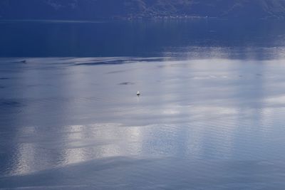 View of birds flying over sea during winter