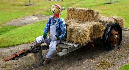 High angle view of scarecrow with hay bales on cart