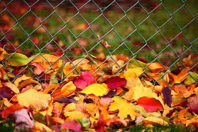 Full frame shot of chainlink fence