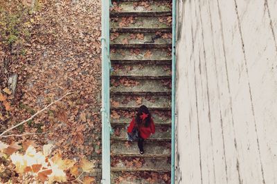 High angle view of woman by autumn leaves