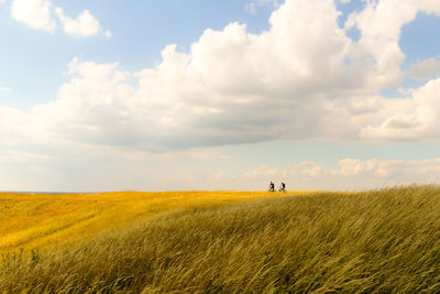 Man riding bicycle on grassy field against sky