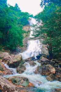 Waterfall in forest