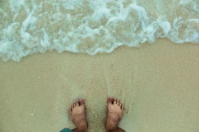 Low section of woman on beach