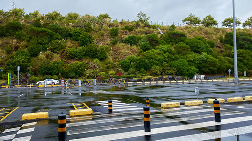 Scenic view of lake by trees against sky