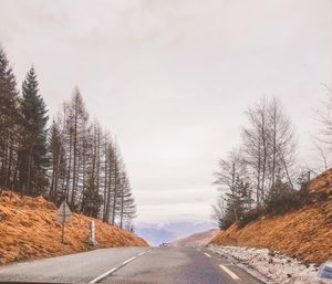 Road amidst trees against sky during winter