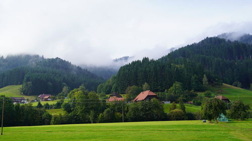 Scenic view of trees on field  and fog over mountains against sky