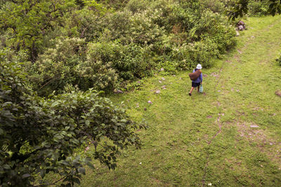 Rear view of man walking in forest