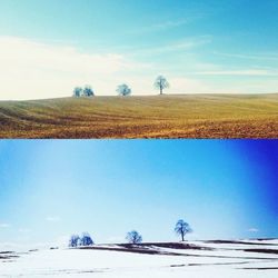 Scenic view of field against blue sky