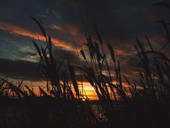 Scenic view of landscape against sky at sunset