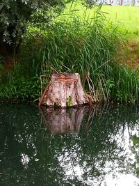 Built structure in lake