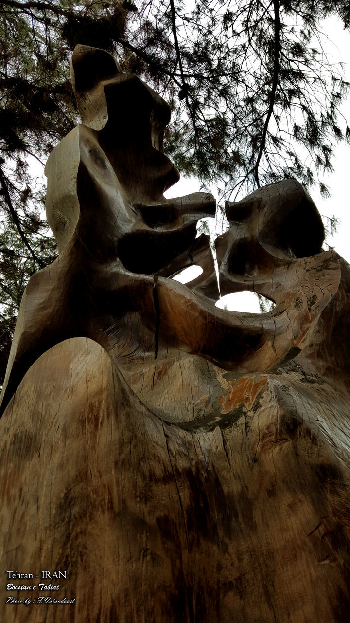 tree, low angle view, sculpture, statue, art and craft, old, art, human representation, tree trunk, damaged, bare tree, nature, no people, creativity, forest, outdoors, branch, day, carving - craft product, death