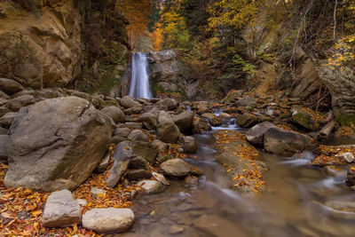 Water flowing through rocks in forest