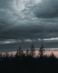 Low angle view of silhouette trees against sky