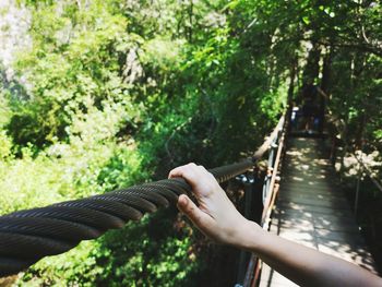 Person holding umbrella by trees in forest