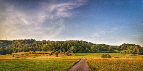 Road amidst field against sky