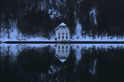 Reflection of trees in lake during winter