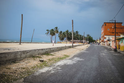 Road along trees