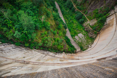 High angle view of road amidst trees