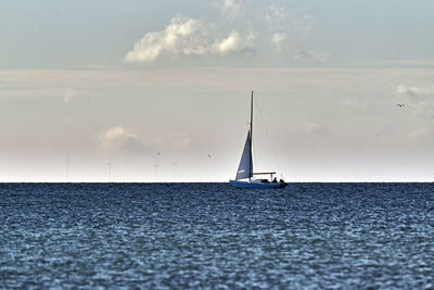 Sailboat sailing on sea against sky