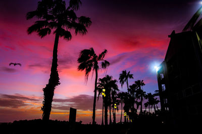 Silhouette palm trees against sky during sunset