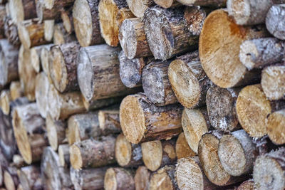 Full frame shot of stacked logs