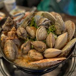 High angle view of clams in container on table