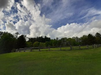 Trees on field against sky