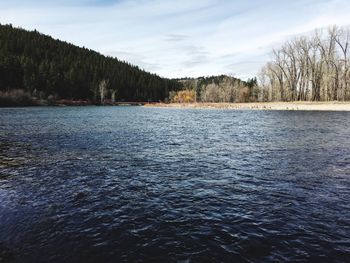 Scenic view of lake in forest against sky