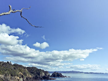 Low angle view of birds on sea against sky